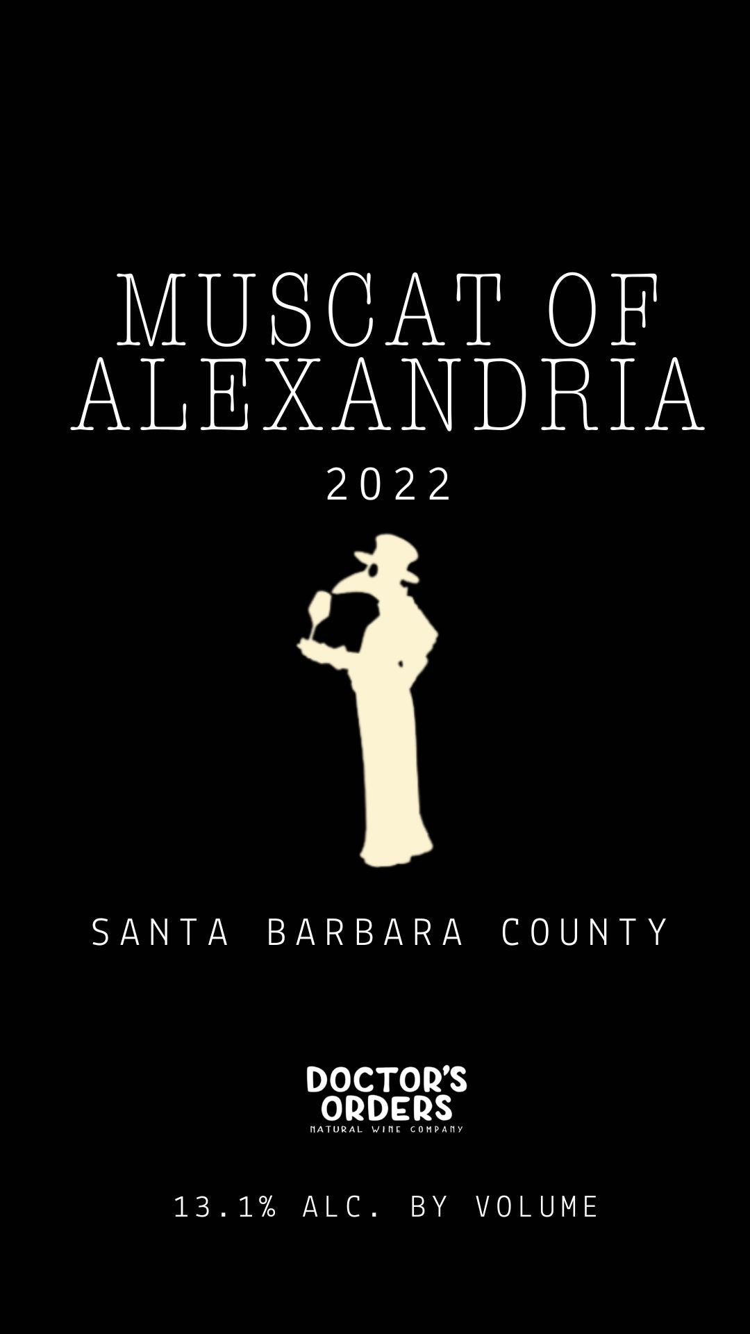 2022 Muscat of Alexandria